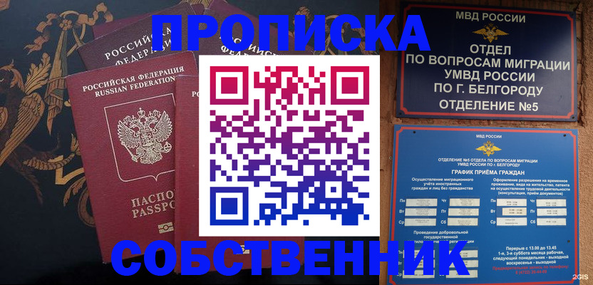 прописка законно в Калининграде